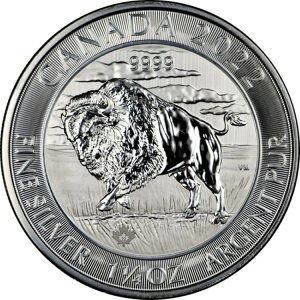 2022N Ji_ oC\ obt@[ 1.25 1 1/4IX .9999 Vo[ 8h uAg 