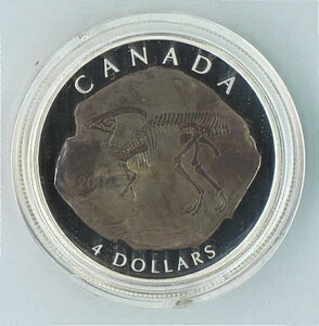 2007NJi_4hpTEtX΃v[tRC.999