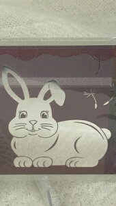 2023N S KN 5.0O  v[t󎆕