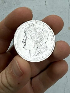 BU 1889-P モルガン銀貨、魅力的なオリジナルのブリリアント UNC 米国 1 ドル硬貨