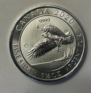 2020NJi_쐶nNgEV1.5IX݁i[v[ttj$8