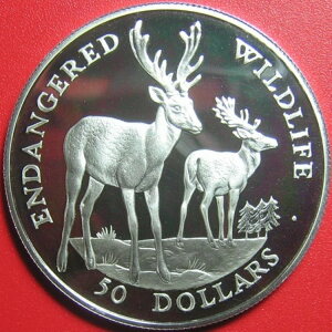 1991N NbN 50h Vo[ v[t _}WJ ̖ Ŋ뜜쐶