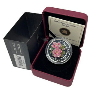 2011�N�J�i�_�h�� 20�h�� ���� .9999 1�I���X �N���X�^�� ���C���h���[�Y E-210