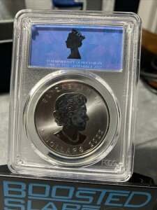 2022N Ji_ [v[t  PCGS  Ǔx