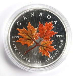 2001N 5h Ji_ [v[t  1IX .9999