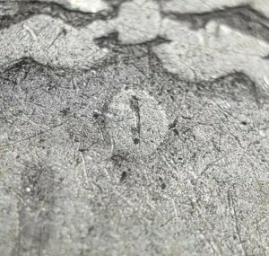 1882-O/S 1h K - VAM 5 j - RPM - OMM - SKU-D2525