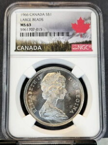 1966NJi_ 1h S$1 [Wr[Y NGC MS 63 