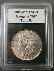 1886 P VAM 21 �S�b�W M�T�C�Y�A�_�u�����o�[�X�A�g�b�v100���X�g