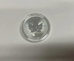 2024N  1IX [v[t N eW}[N