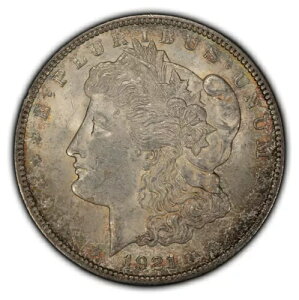 1921N 1h K - dグ - lIg[jO - SKU-D2700