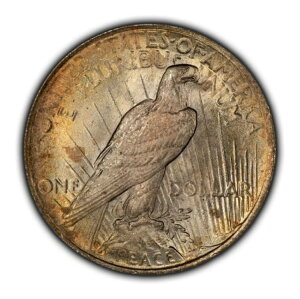 1922N 1h ah - ȐF - XpCNV_[NbV SKU-D5783