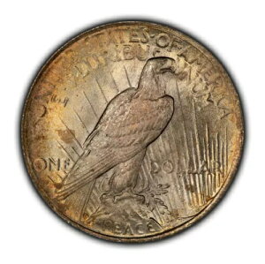 1922N 1h ah - ȐF - XpCNV_[NbV SKU-D5783