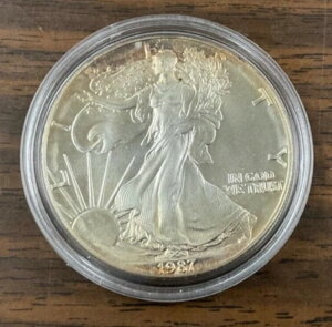 1987NVo[AJC[OiɌyg[HjB1IXA999Vo[BJvZB