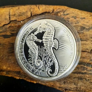 2019�N �V���o�[ �o���o�h�X 1�h�� �V�[�z�[�X �J���u�C 1�I���X 999 �ǎ��R�C��