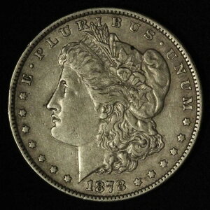 1878�N�� $1 7TF 79'�����K����݂̗��� - ���������i�č��j