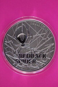 2022N Gem BU I[XgA bhobNXpC_[ Vo[ RC ~gJvZ 25