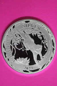 Gem BU 2023 oohX L[ 1IX Vo[RC .999  $1.00 ʐ^35ƓRC