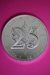 Gem BU 2013 Ji_h 5h 1IX Vo[ [v[t RCiʐ^j CAF08