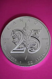 Gem BU 2013 Ji_h 5h 1IX Vo[ [v[t RCiʐ^Ɠj CAF17