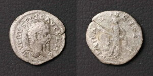 *ZveB~EX ZEFXAÑネ[}̃RCAfiEXAMV [E7062]7h3