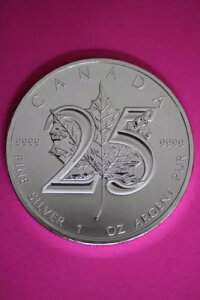 Gem BU 2013 Ji_h 5h 1IX Vo[ [v[t RCiʐ^j CAF05