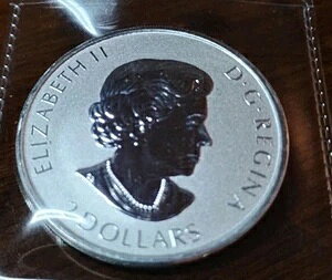 2021�N�J�i�_�h�� 2�h�� ���� 3/4�I���X 9999 ARGENT PUR DEEP CAMEO PROOF ������