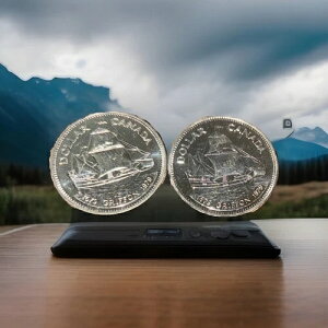 1979NOtH̍qCLO1h̋ݕW{(2)