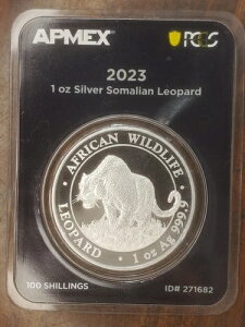 2023N 1IX \AEIp[h APMEX_CNg~g _[XgXgCN