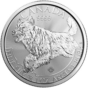 2018N 1IX Ji_YVo[Etvf^[V[YRC