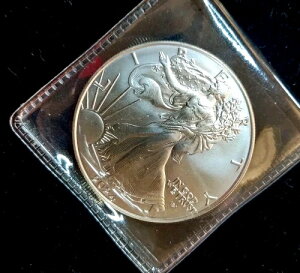 2024 �V���o�[�C�[�O�� 1�I���X �V���o�[ �R���N�V�����ɗ~�������̂������ɂ���܂��c���}����������