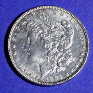 1885-P 1h [K݁uBU ʁvGA^Cgz_[ z D #1