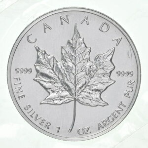 1999NJi_5h݃[v[t1IXݖJ