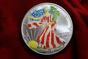 2000NAJOVo[C[OyCgfBRCA{̃Vo[C[OGA^Cg