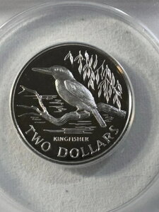 1993Nj[W[h 2h JZ~ Vo[ v[tRCAANACSɂPR 69 DCAM]