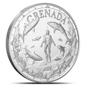 2024N 1IX EC8 Vo[ Oi_ V[N _Co[ RC (BU)