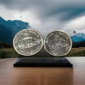 1979NOtH̍qCLO1h̋ݕW{(2)