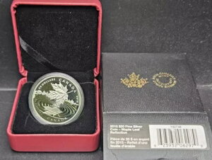 2015N 20h 1IX v[t t@CVo[ [v[t tNV ?? - COAȂ