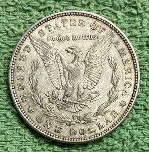 1882N [K *** ʏԂ̗ǍDȃRC - ʐ^I #6052