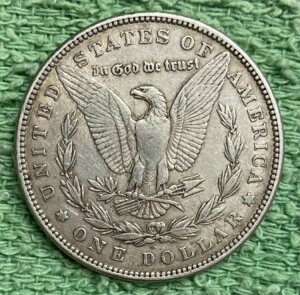 1882N [K *** ʏԂ̗ǍDȃRC - ʐ^I #6049