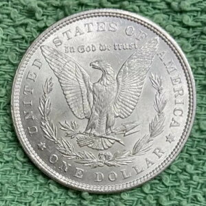 1896-P ���ɑf���炵�����i�ʂ̃����K���E�_���[ *** �ʐ^��������������! #5705