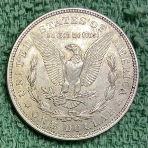 1921-P ���ɑf���炵�����i�� *** �����K���E�_���[ *** �ʐ^��������������! #4844
