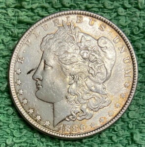 1886-P ���ɑf���炵�����i�ʂ̃����K���E�_���[ *** �ʐ^��������������! #5682