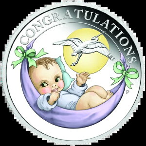 2022N I[XgA V 1/2IX Vo[ v[t 50Zg RC J[