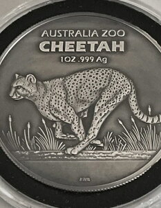 2021N I[XgA `[^[ 1IX .999  *AeB[Ndグ/JvZ/{bNX