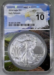 2024N 1IX Vo[ AJC[O NGCX MS 10 - [X - C[ORA