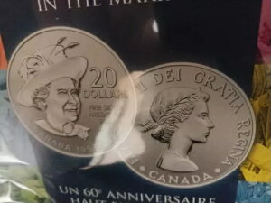 GUxX̏ё܂ꂽIWipbP[WJi_20h