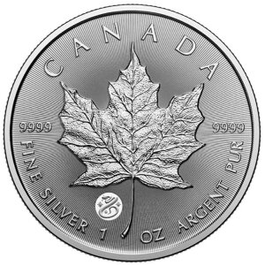 2025N 1IX Ji_ Vo[ gW[h [v[t - i Xl[N BU