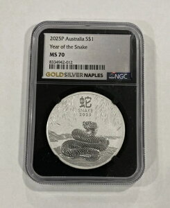 2025 P I[XgA p[X~g i Xl[N 1IX Vo[RC NGC MS70 ubNRA