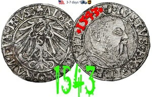 �h�C�c �v���C�Z�� �O���T�X 1543 �A���u���q�g ������� #31901