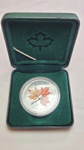 2001N 5Ji_h 1IX  J[[v[tRC